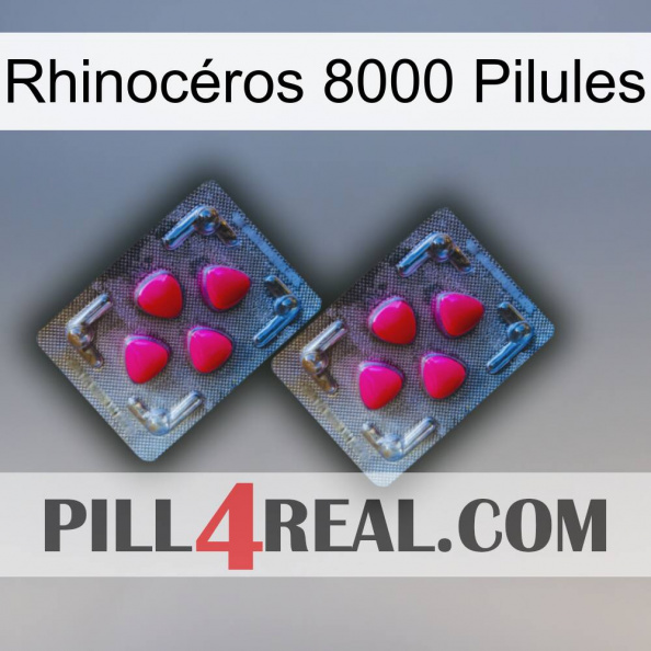 Rhinocéros 8000 Pilules 14